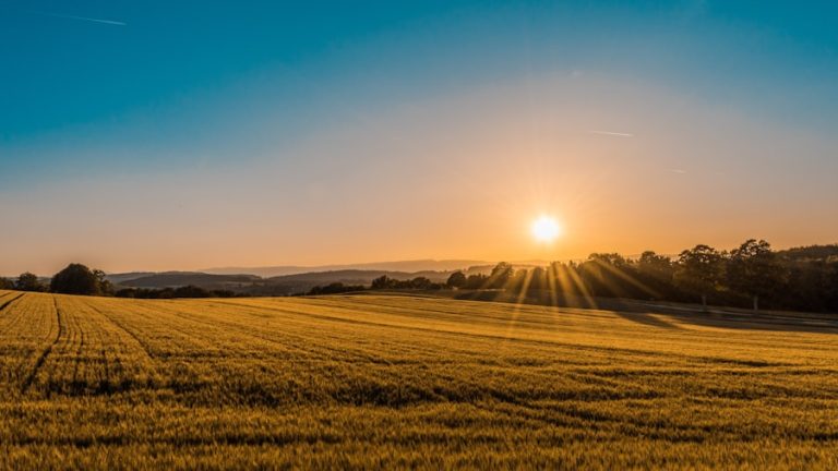 Terreno para Construção em Vila do Conde